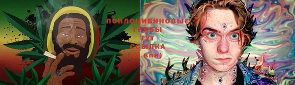 прущий лед Белоозёрский