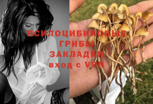 прущий лед Белоозёрский
