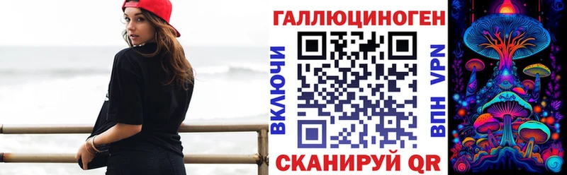 Галлюциногенные грибы Psilocybe  Афипский 
